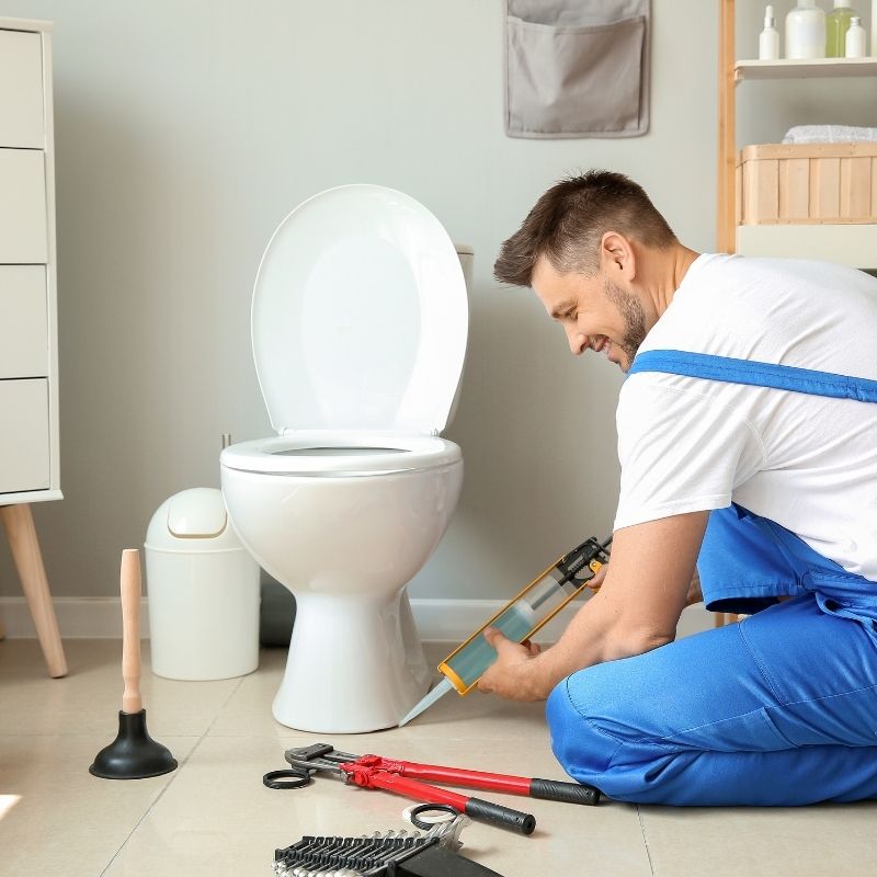 Toilet Installation Repair in Picture Rocks AZ